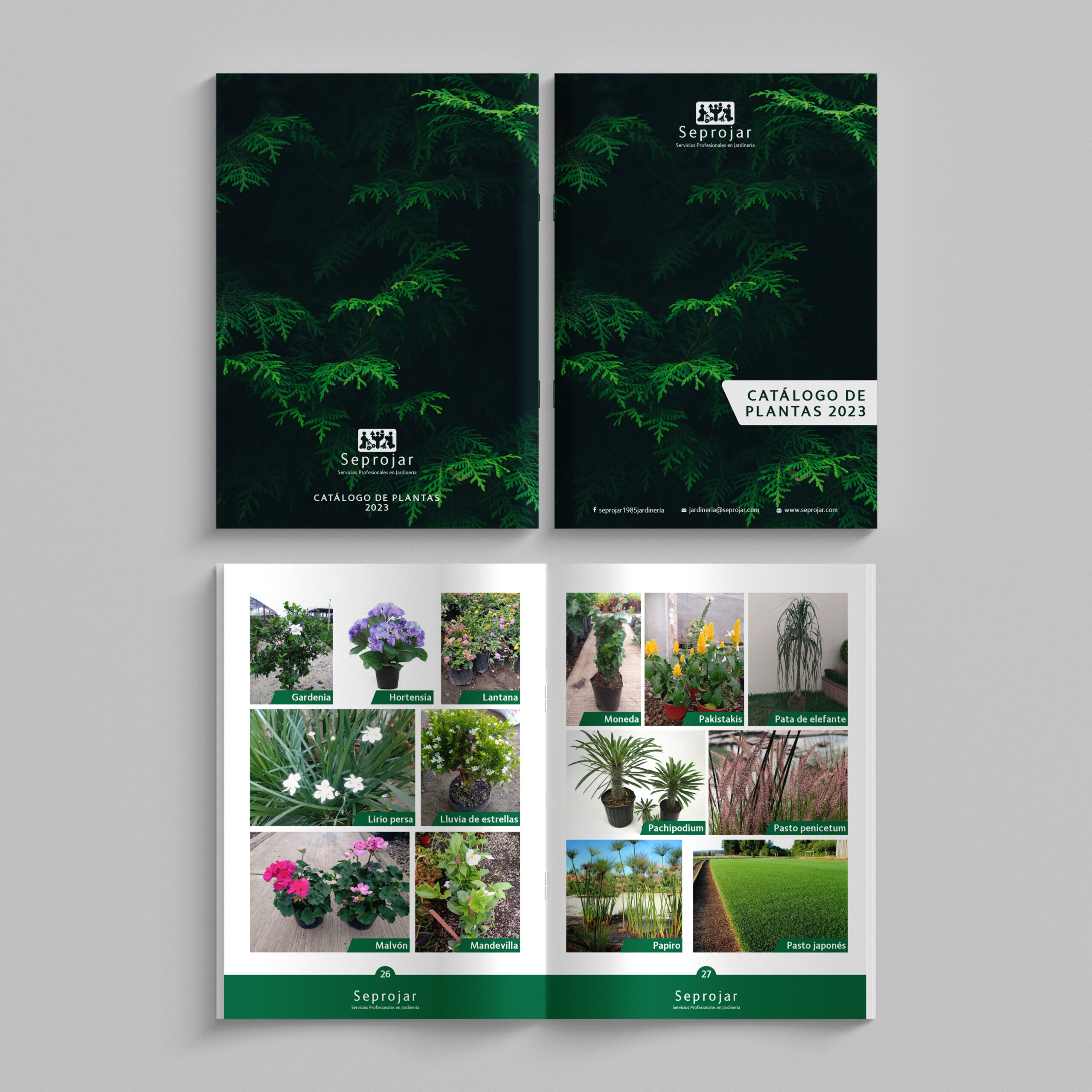 CATALOGO